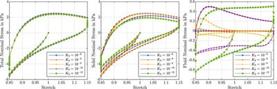 Poro-Viscoelastic Effects During Biomechanical Testing of Human Brain Tissue